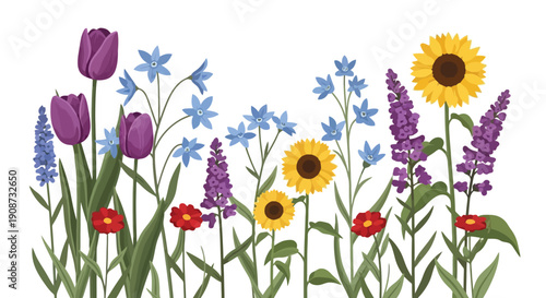 Vibrant Meadow of Diverse Wildflowers in Full Bloom.