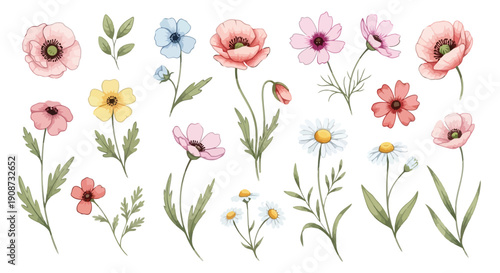 Watercolor Collection of Delicate Wildflowers and Poppies.