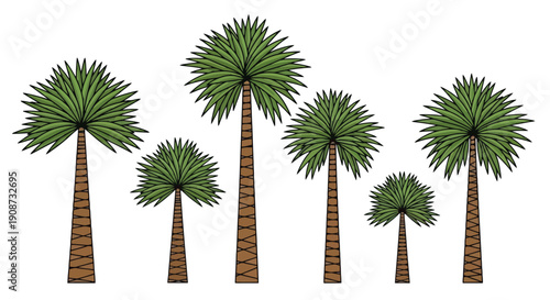 Collection of Diverse Palm Trees in Various Sizes.