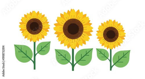 Three Vibrant Sunflowers with Green Stems and Leaves.