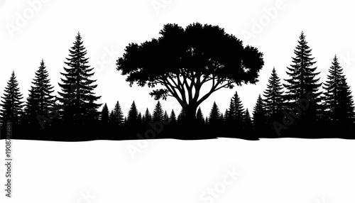 Silhouette of Tree and Pine Trees Forest.
