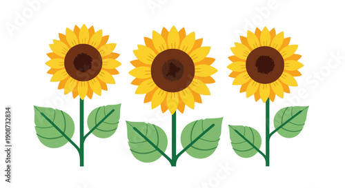 Three Vibrant Sunflowers with Green Leaves and Stems.