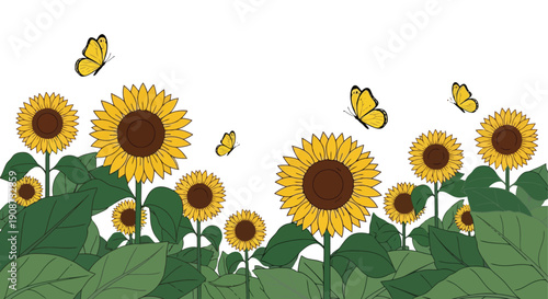 Vibrant Sunflowers Blooming in a Field with Butterflies.