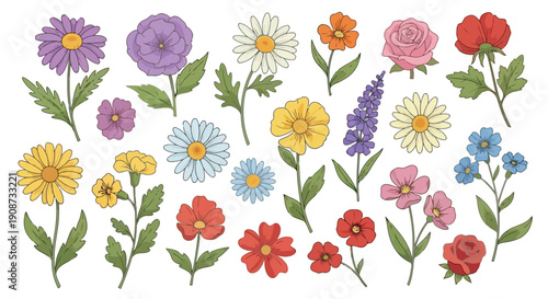 Collection of Diverse and Colorful Spring Flowers Illustration.