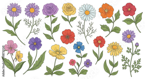 Collection of Various Hand-Drawn Floral Illustrations.