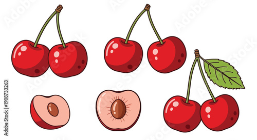 Collection of Fresh Ripe Cherries and Halved Cherry Illustrations.