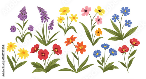 Collection of Diverse Wildflowers and Garden Blooms.