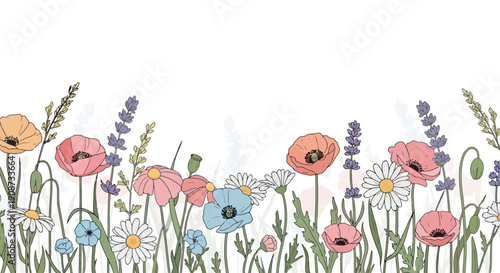 Vibrant Wildflower Meadow Border Illustration.