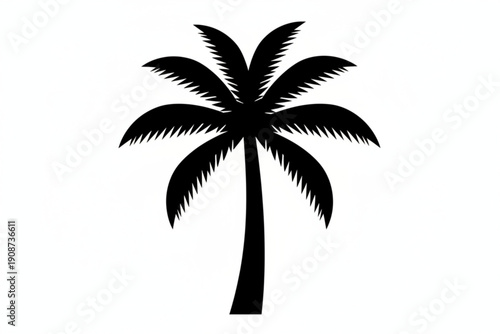 Silhouette of Solitude: A simple yet elegant silhouette of a palm tree stands tall, its fronds reaching towards the heavens, creating a sense of tranquility and tropical allure.