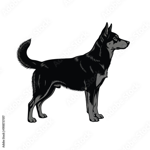 Black Dog Standing Profile Illustration