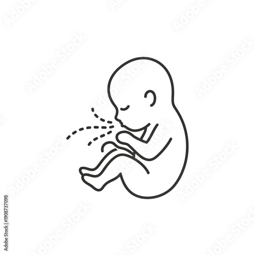 Stylized Fetal Development Line Art Icon