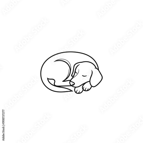 Sleeping Dachshund Illustration