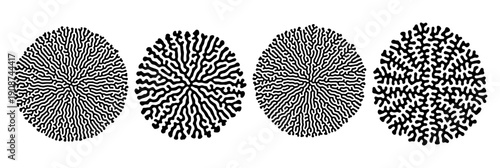 Vector Set of Round Diffusion Grow Patterns. Abstract biological design elements.
