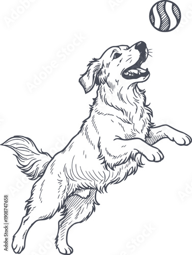 professional hand drawn golden retriever jumping to catch a ball. high quality sketch illustration with black fill and no white fills included for easy background integration