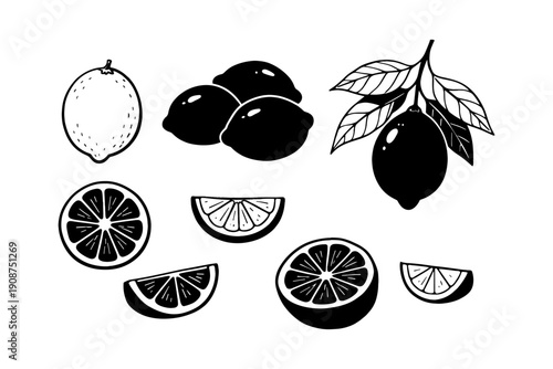 Black and white citrus illustrations with lemons and lime