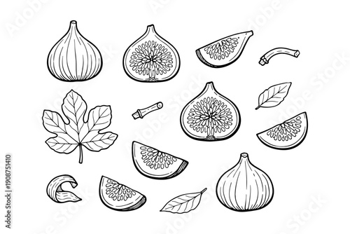 Black and white fig illustrations with leaves and slices