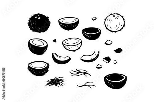 Monochrome coconut illustrations: whole, halved, sliced, shredded depictions