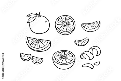 Black and white citrus fruits illustration with slices and peel