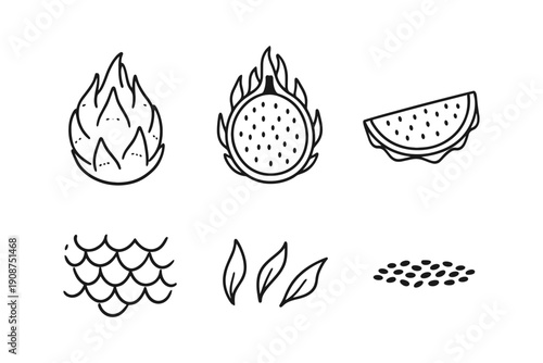 Dragon fruit illustrations: whole, halved, slices, scales, leaves, seeds