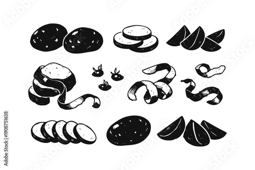 Hand-drawn potato variations: whole, sliced, peeled, wedges