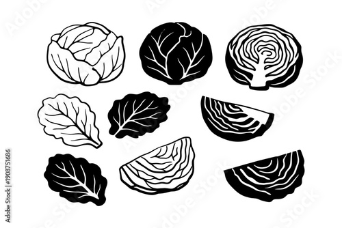 Black and white cabbage and leaf illustrations