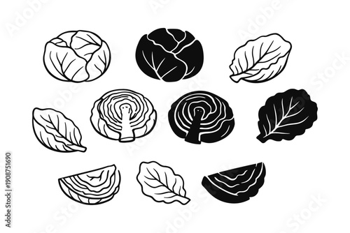 Monochrome cabbage and leaf illustrations in various styles