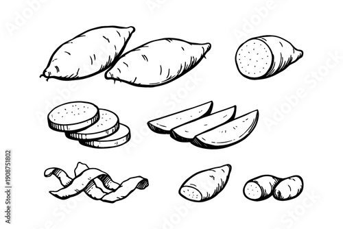 Hand-drawn sweet potatoes illustration with different cuts and peels