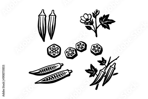 Black and white okra illustrations with flower and leaves