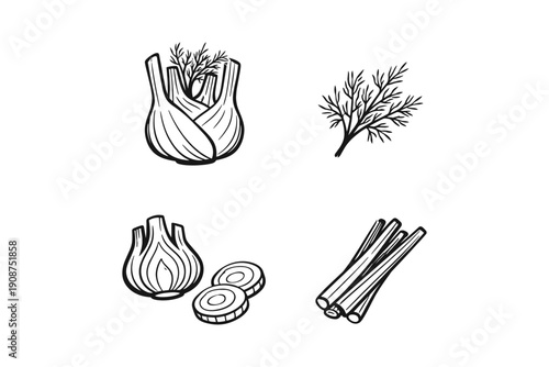 Black and white line art of fennel and dill illustrations