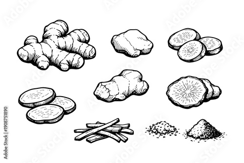 Illustration of ginger and root vegetables with slices and powders