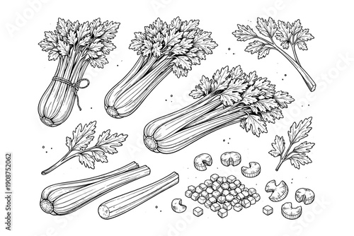 Black and white celery illustration with stalks, leaves, and chopped pieces