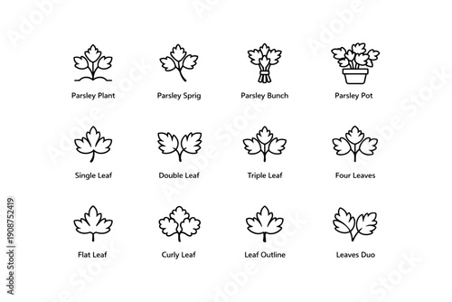 Parsley leaf icon set featuring plant, sprig, bunch, and pot designs