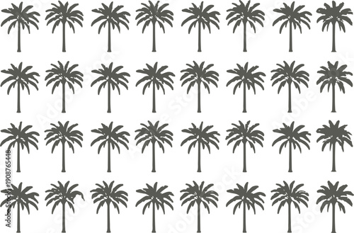 Tropical Palm Tree Silhouette Collection Various Styles and Sizes