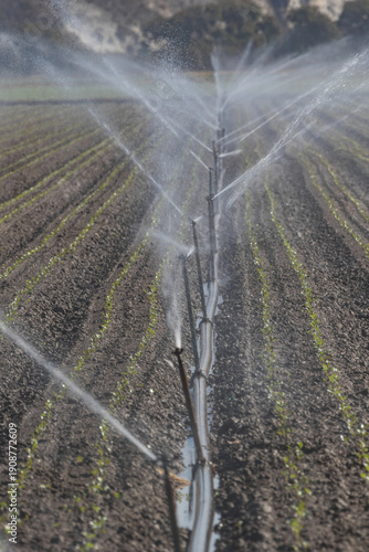 Wallpaper Mural Irrigation Sprinklers Watering Crops Aerial View Torontodigital.ca