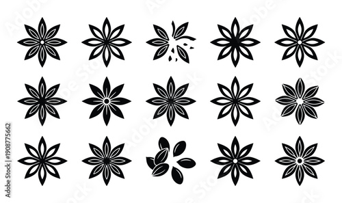 Star anise set design vector illustration for food ingredient herb and spice on transparent