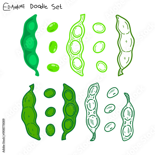set of green peas illustration. soybeans collection illustration. edamame doodle hand drawn set. collections of edamame peas.