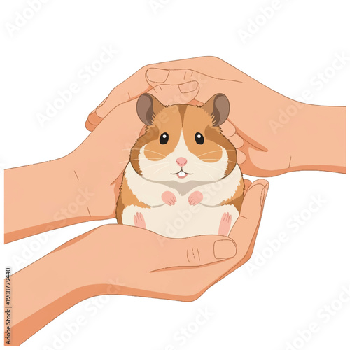 Hamster Being Held in Human Hands.
