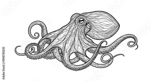 Black and white line drawing of an octopus with detailed tentacles