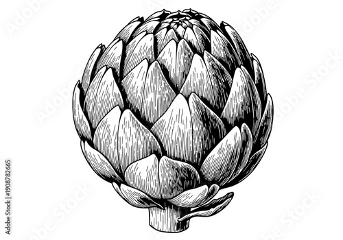 A detailed black and white vector illustration of a whole raw artichoke with tightly packed leaves
