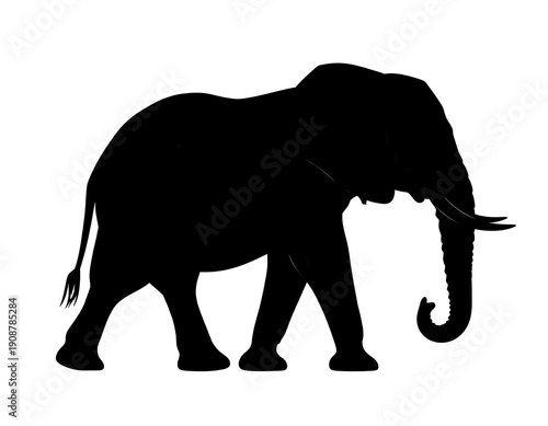 Silhouette of an elephant walking on white background isolated design