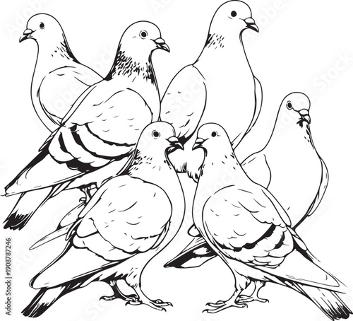 Group of pigeons Hand-drawn Sketch Drawing Vector Illustration, Line Linear Symbol Engraving for Coloring Book, Black and White, Isolated