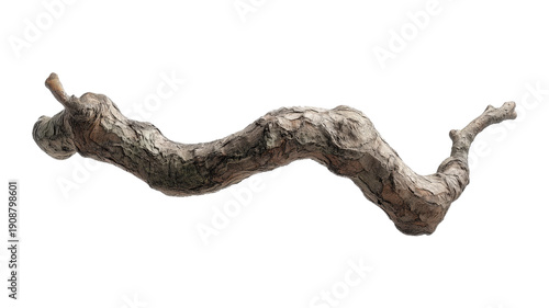 A unique, twisted wooden branch with intricate textures, perfect for decorative or natural-themed projects.
