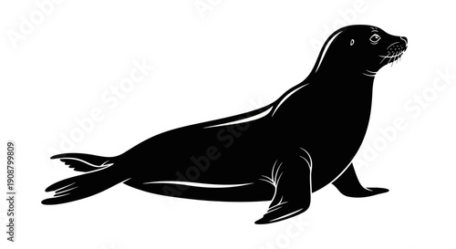 Black silhouette of a seal on a white background.