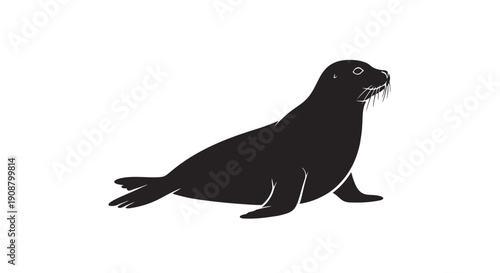 Black silhouette of a seal on a white background.