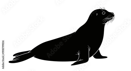 Black Silhouette of a Seal on a White Background.