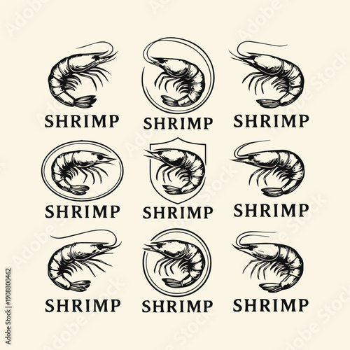 Shrimp logo template with engraved logo style. Shrimp vector set.