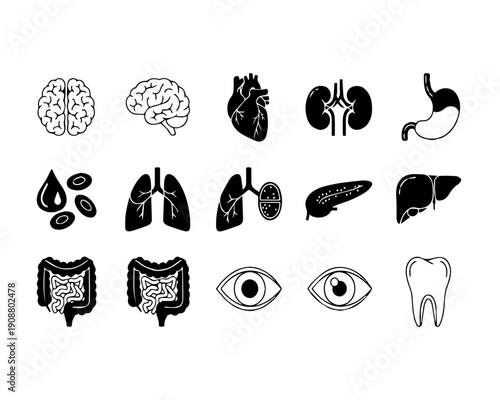 Diverse collection of human anatomy and internal organ icons, ideal for medical education, biology lessons, healthcare presentations, and science-related infographic designs