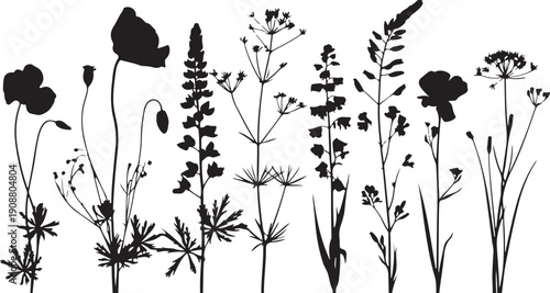 Minimalist black and white botanical of various flowers and plants