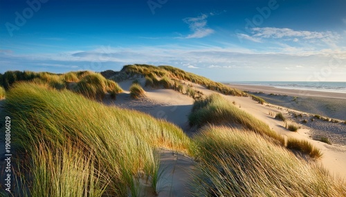 Dunenlandschaft An Der Nordseekuste