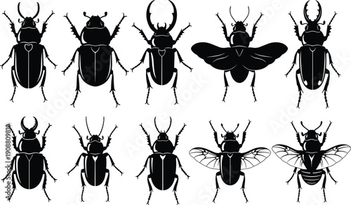 Insect vector illustration, black silhouette artwork, beetle design graphic, bug icon drawing, entomology pattern style, nature biodiversity decorative set